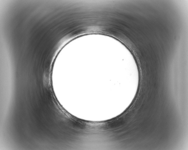 X0000103961296200810031156