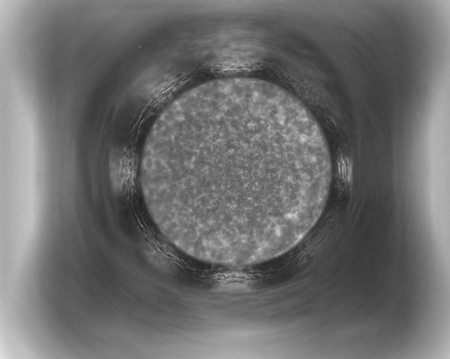 X0000103961300200810031156