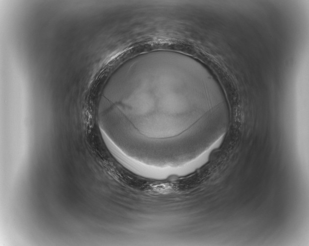 X0000103961303200810031156