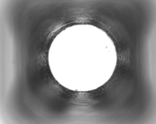 X0000103961304200810031156