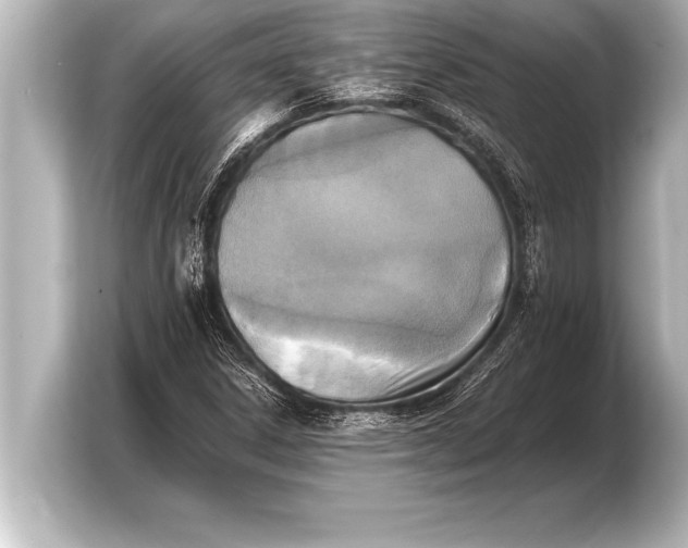 X0000103961306200810031156