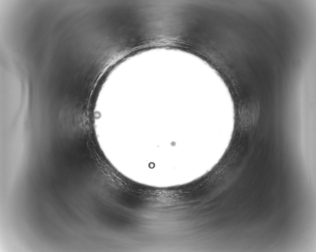 X0000103961308200810031156