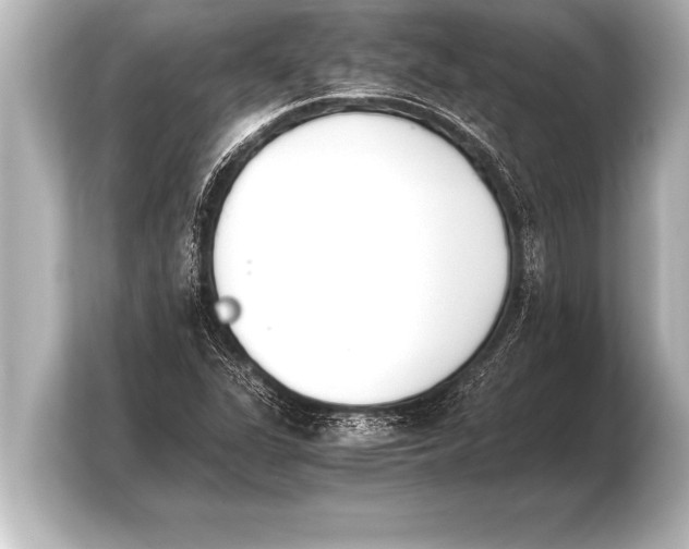 X0000103961311200810031156