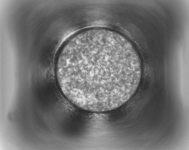 X0000103961312200810031156