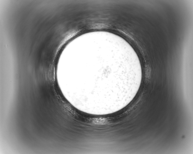 X0000103961317200810031156
