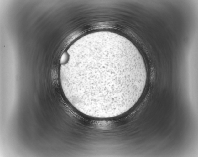 X0000103961321200810031156
