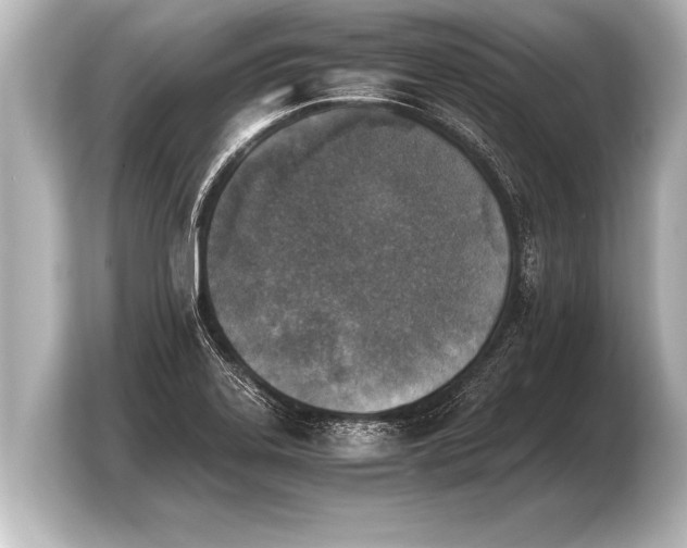 X0000103961323200810031156