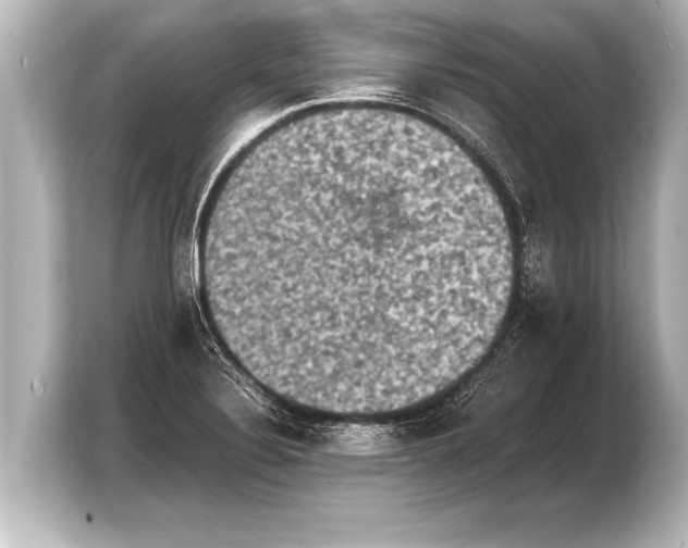 X0000103961324200810031156