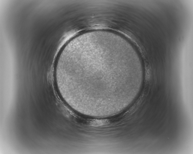 X0000103961325200810031156