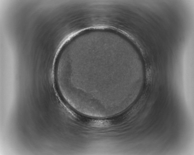 X0000103961327200810031156
