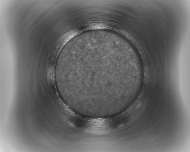 X0000103961329200810031156