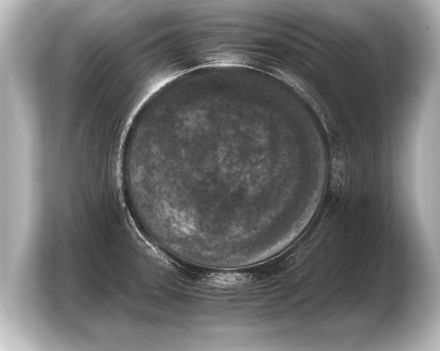 X0000103961331200810031156