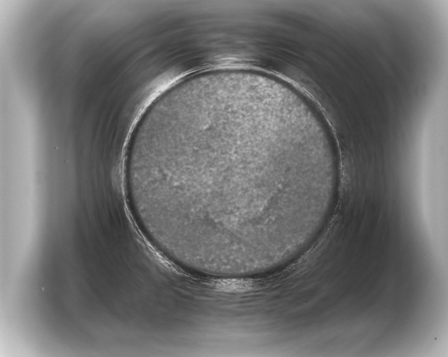 X0000103961333200810031156