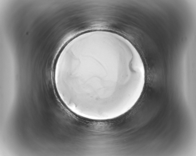 X0000103961334200810031156