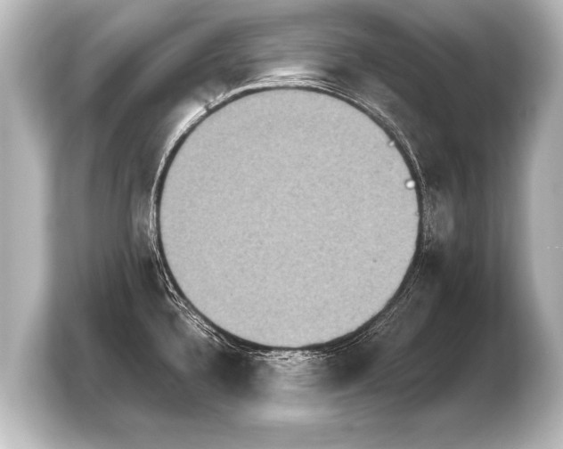 X0000103961336200810031156