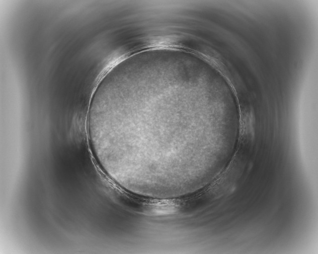 X0000103961338200810031156