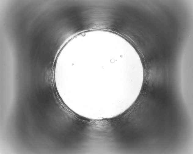 X0000103961340200810031156