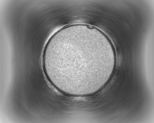 X0000103961341200810031156