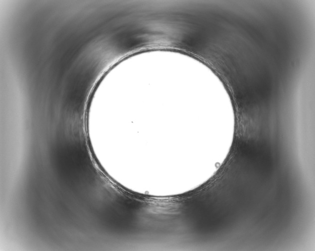 X0000103961342200810031156