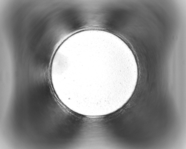 X0000103961344200810031156