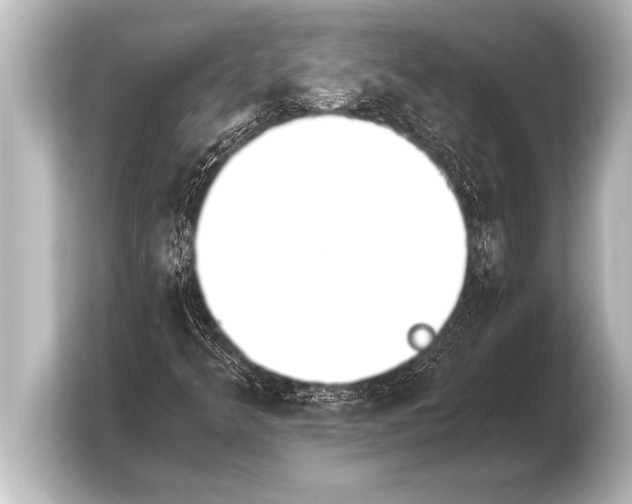 X0000103961349200810031156