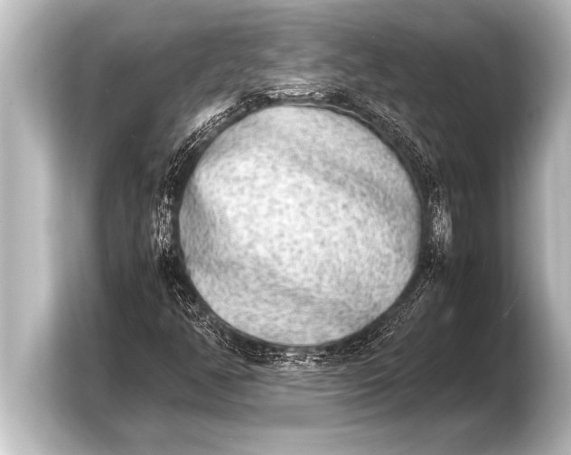 X0000103961350200810031156