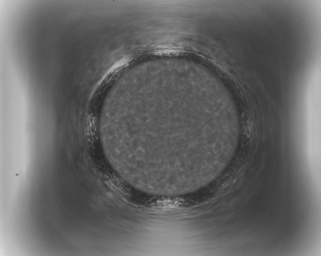 X0000103961351200810031156