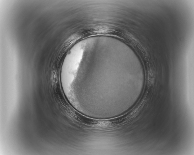 X0000103961353200810031155