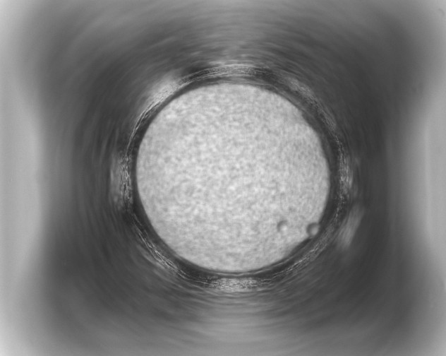 X0000103961354200810031155