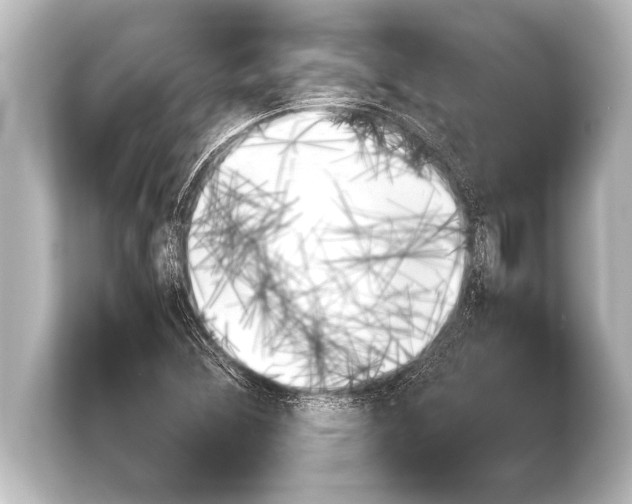 X0000103961356200810031155