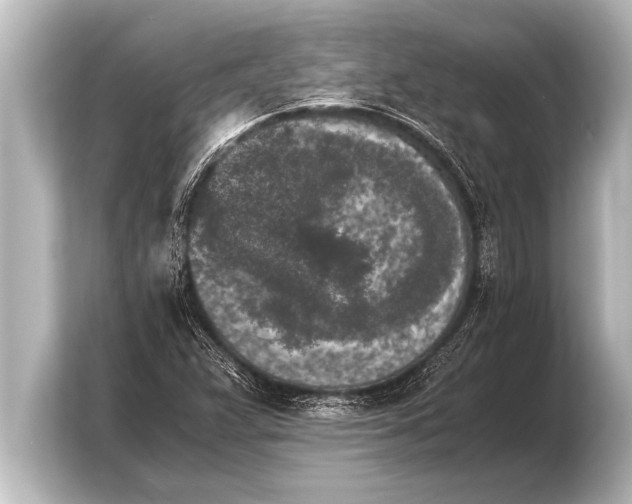 X0000103961359200810031155
