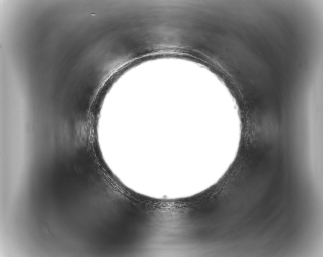 X0000103961360200810031155