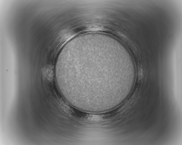 X0000103961361200810031155