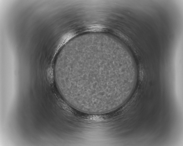 X0000103961362200810031155