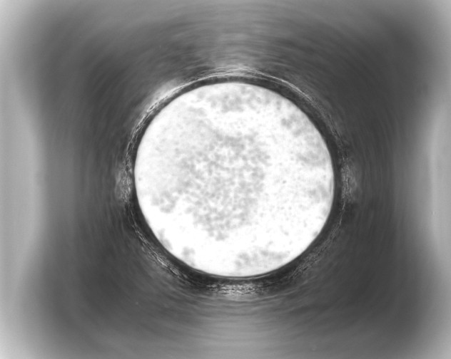 X0000103961363200810031155