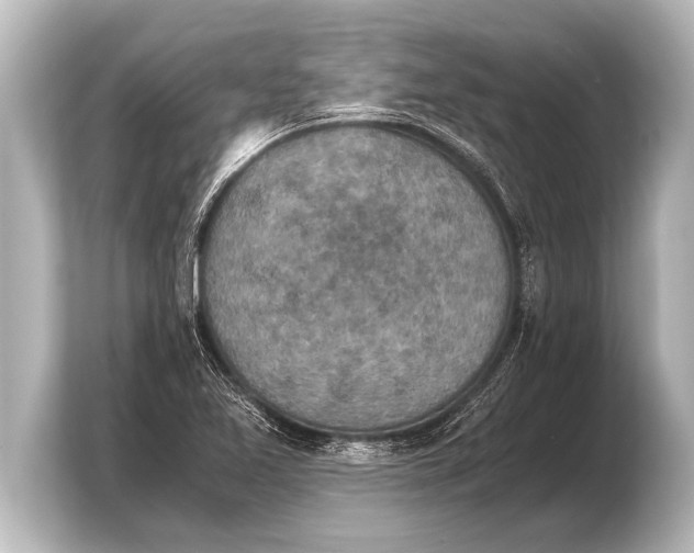 X0000103961365200810031155