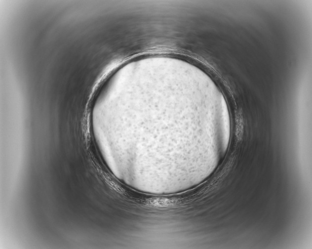 X0000103961366200810031155
