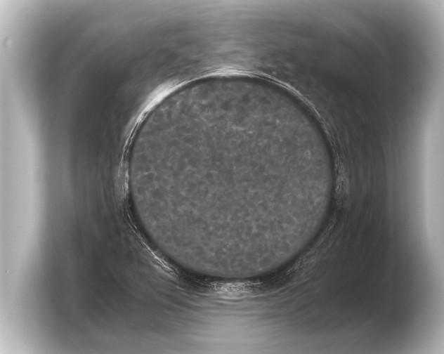 X0000103961367200810031155