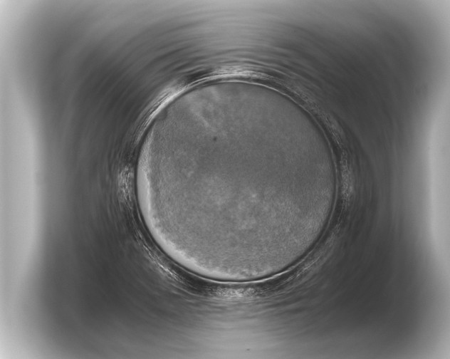 X0000103961369200810031155