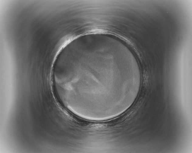 X0000103961373200810031155
