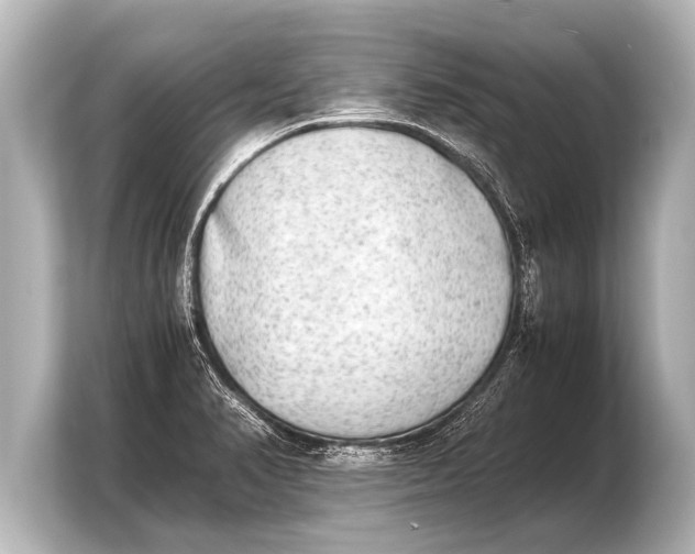 X0000103961374200810031155