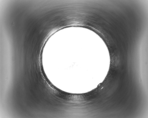 X0000103961375200810031155