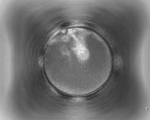 X0000103961377200810031155