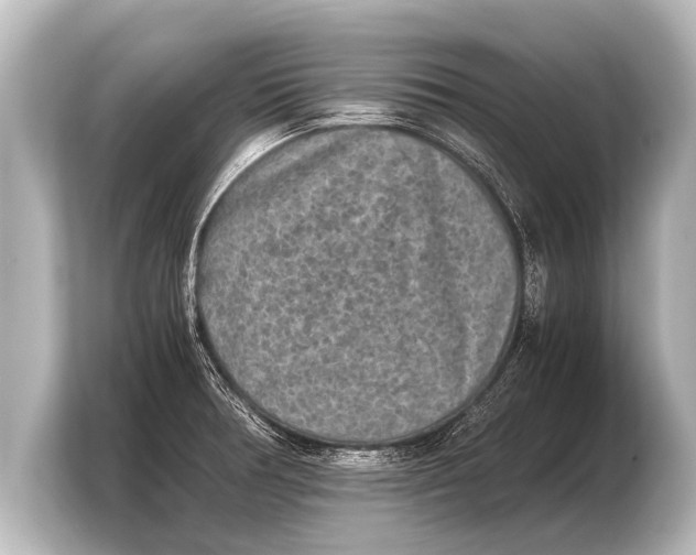 X0000103961378200810031155