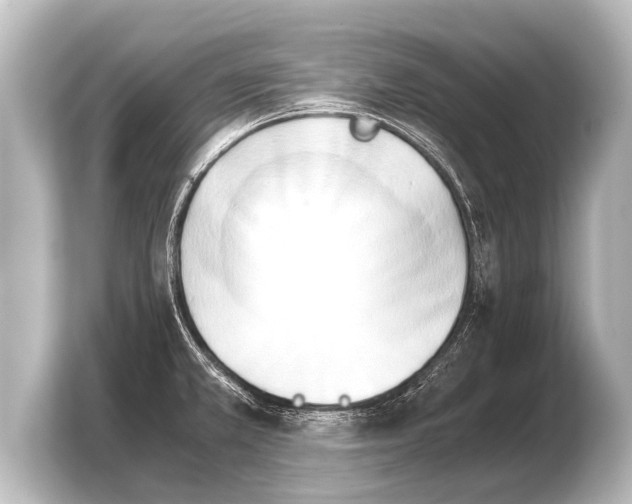 X0000103961381200810031155