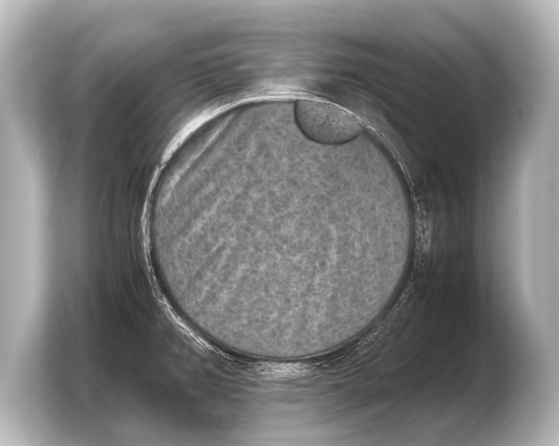 X0000103961382200810031155