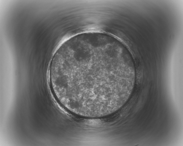 X0000103961383200810031155