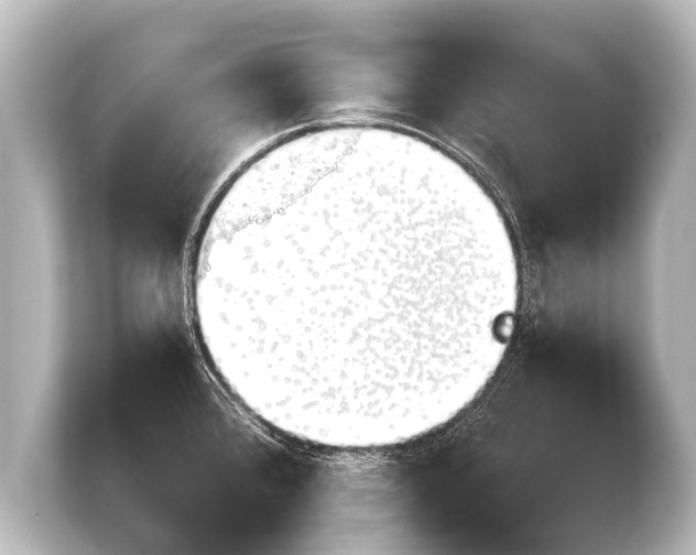 X0000103961384200810031155