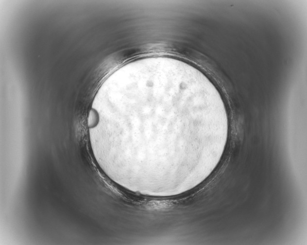 X0000103961385200810031155