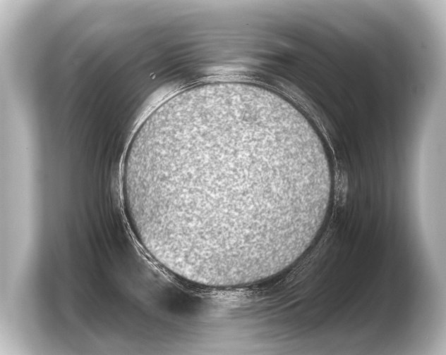 X0000103961386200810031155